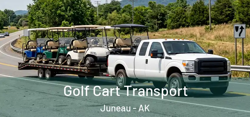  Golf Cart Transport Juneau - AK